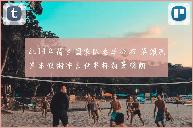 2014年荷兰国家队名单公布 范佩西罗本领衔冲击世界杯前景明朗