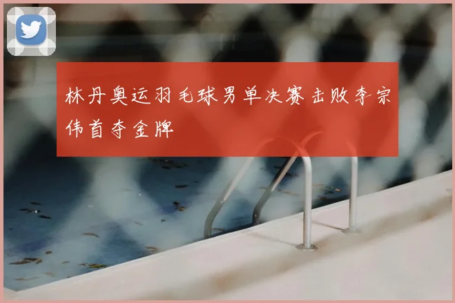 林丹奥运羽毛球男单决赛击败李宗伟首夺金牌